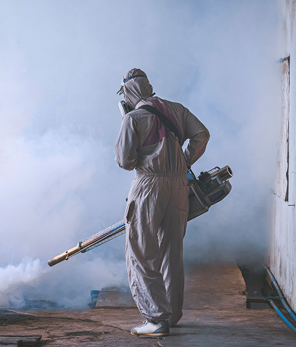 Mosquito Control Companies Abu Dhabi | Best Mosquito Control Services Companies Abu Dhabi